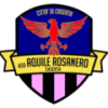 logo Aquile Rosanero Caserta