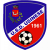 logo Usinese