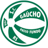 logo Gaúcho