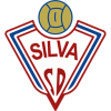 logo Silva