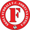 logo Fortuna Zenica