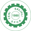logo Yeni Salihlispor