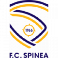 logo Spinea