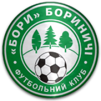 logo Bory Borynychi