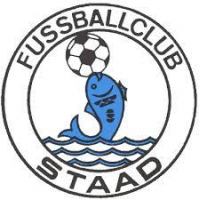 logo Staad