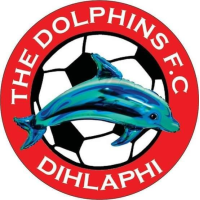 logo The Dolphins