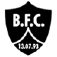 logo Botafogo FC