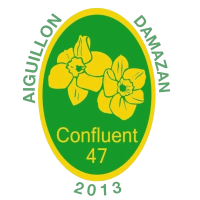 logo Confluent Foot 47