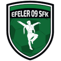 logo Efeler 09 SFK