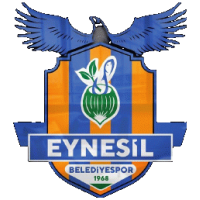 logo Eynesil BS