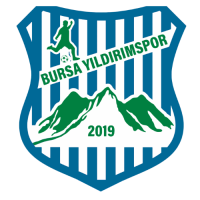 logo Bursa Yildirimspor