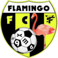 logo Flamingo FC