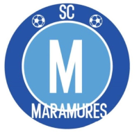 logo Maramures