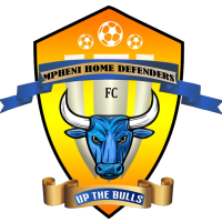 logo Mpheni Home Defenders