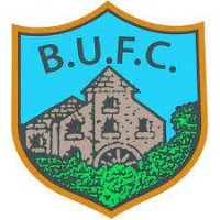 logo Ballynahinch United