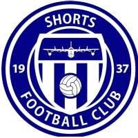 logo Shorts