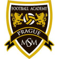 logo MSM Football Academy