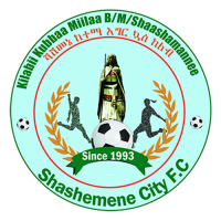 logo Shashemene City