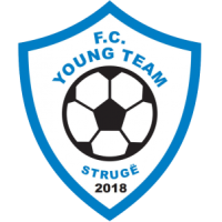 logo Young Team