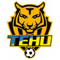 logo Nanjing Tehu