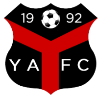 logo Ynyshir Albions