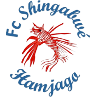 logo Shingabwe