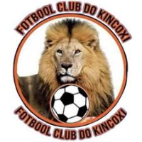 logo Kincoxi