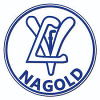 logo VfL Nagold