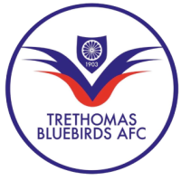 logo Trethomas Bluebirds