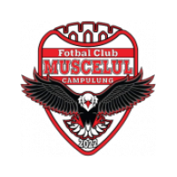 logo AFC Campulung-Muscel