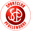 logo Pfullendorf