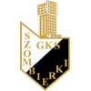 logo Gornik Bytom