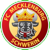 logo Eintracht Schwerin