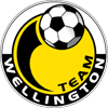 logo Team Wellington