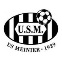 logo Meinier