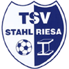 logo Stahl Riesa