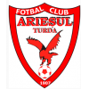 logo Ariesul Turda