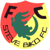 logo Steve Biko