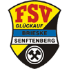 logo Glückauf Brieske-Senftenberg