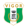 logo Vigor Lamezia