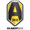 logo Amur 2010 Blagoveshchensk