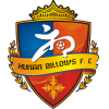 logo Hunan Billows