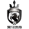 logo Hohhot Black Horse
