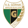 logo Gornik Brzeszcze