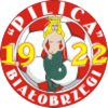 logo Pilica Bialobrzegi