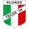 logo Tecza Plonsk