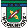 logo Wlokniarz Mirsk