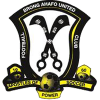 logo Brong Ahofu Stars