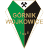 logo Gornik Wojkowice