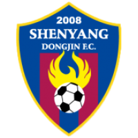 logo Shenyang Dongjin
